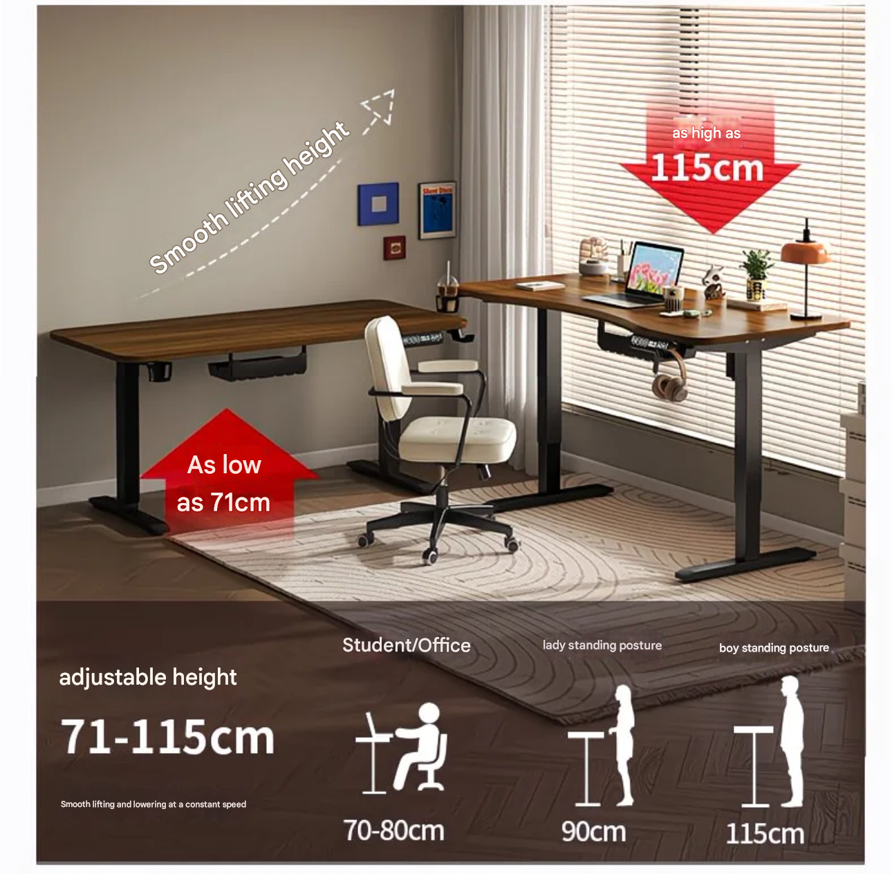 80/100/120/140cm Height Adjust - Desk Setup Pc 리뷰 및 가격