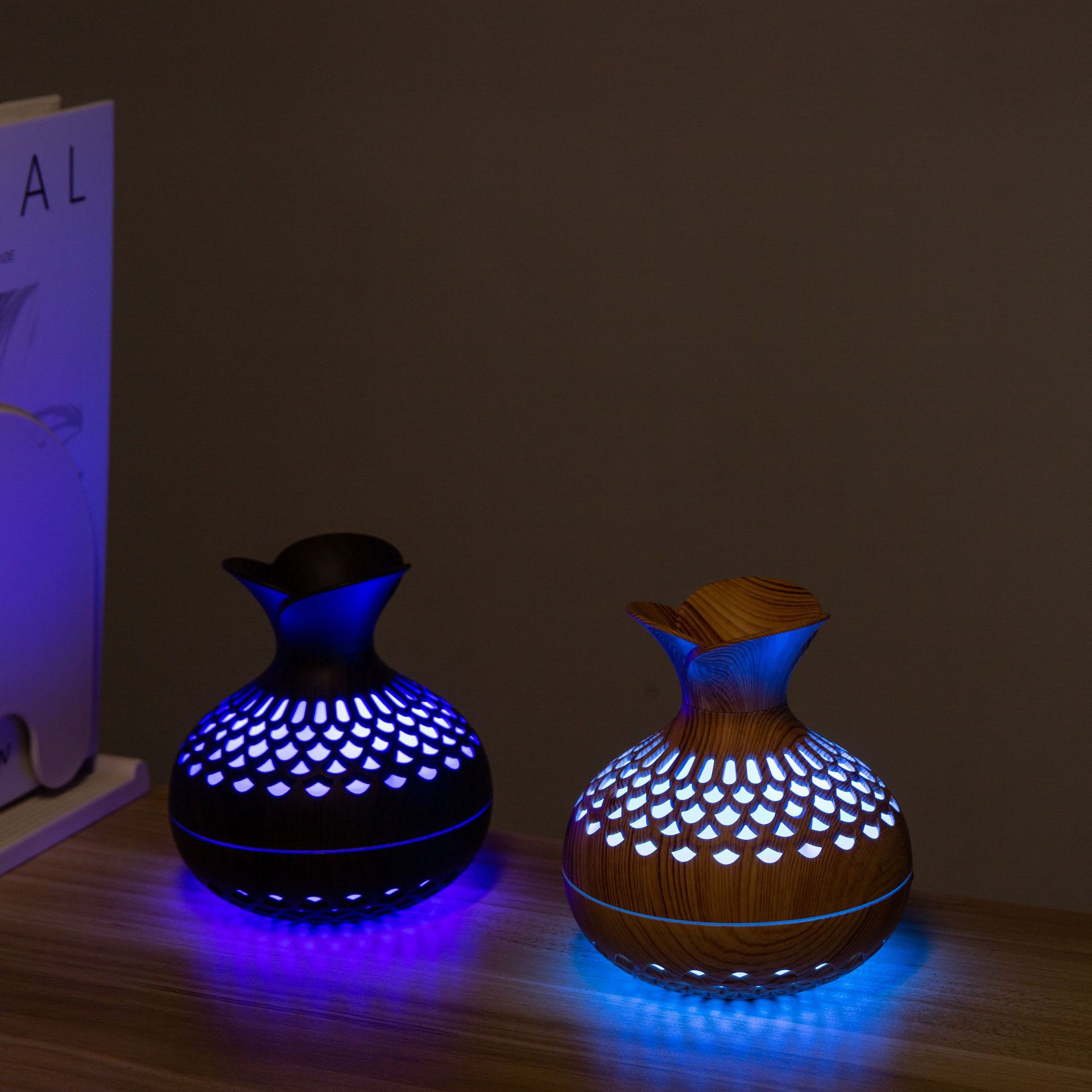 HOMEFISH 300ml USB Air Humidif - Desk Setup Light 리뷰 및 가격