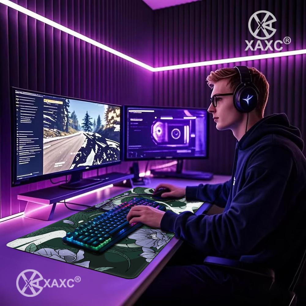 Viper Snake Setup XAXC Mouse P - Desk Setup With Laptop 리뷰 및 가격